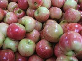 Delicious Homemade Fried Apples