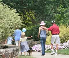 Take a Walk In The Park!