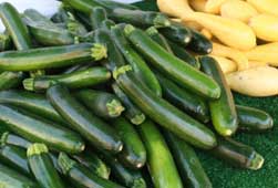 Zucchini Recipes
