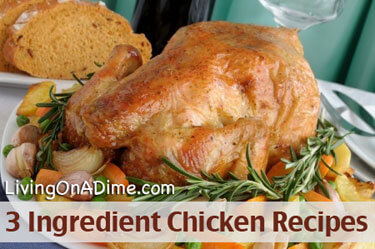 3 Ingredient Chicken Recipes - Living On A Dime