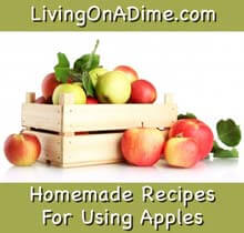 homemade apple recipes