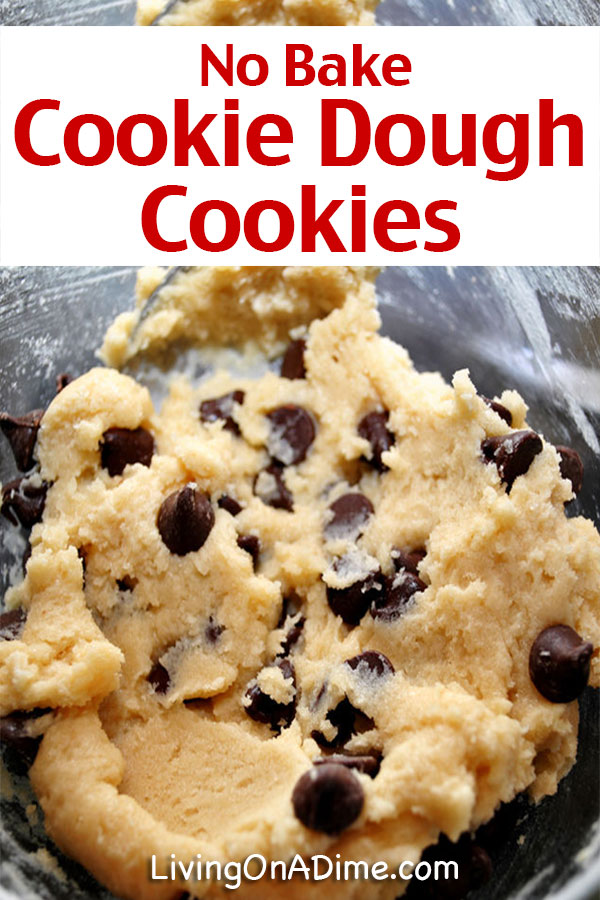 20 Easy No Bake Cookies Desserts And Snacks Recipes