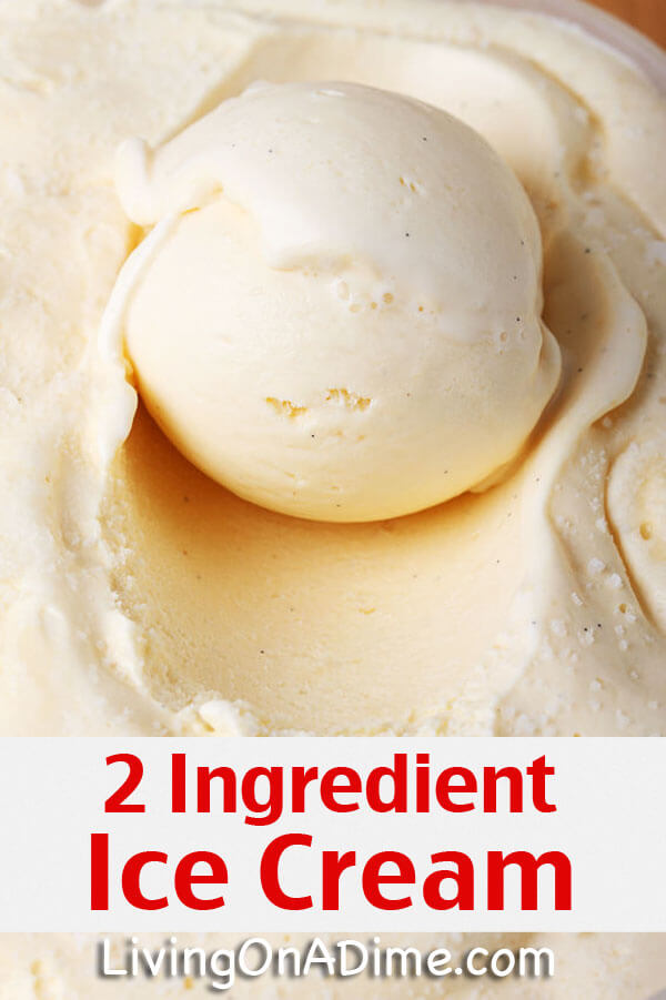 12 Easy 2 Ingredient Homemade Ice Cream Recipes!