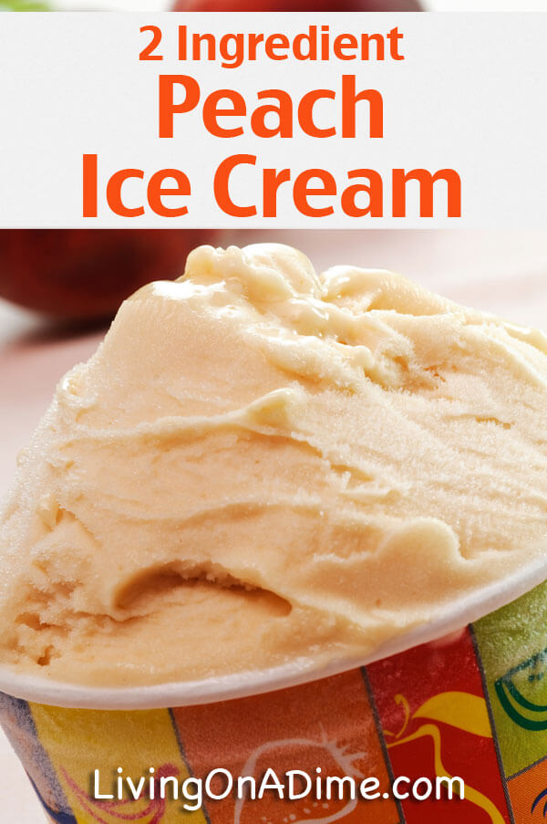 12 Easy 2 Ingredient Homemade Ice Cream Recipes!