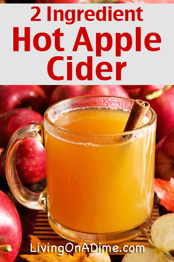 Easy Homemade Hot Apple Cider Recipes