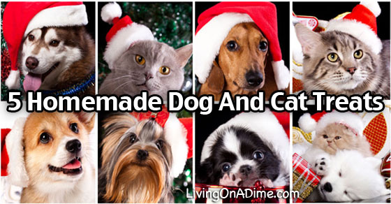 homemade treats for both dogs and cats