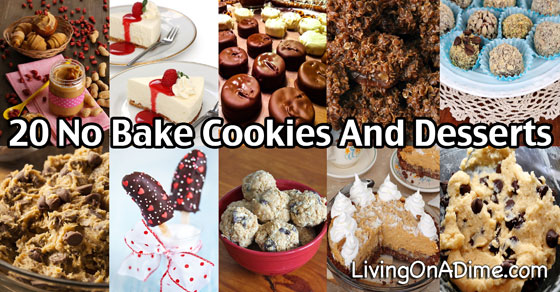 20 Easy No Bake Cookies Desserts And Snacks Recipes