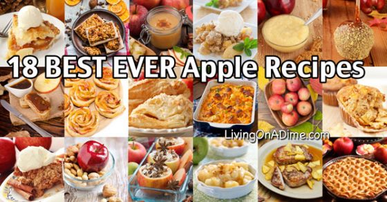 18 Of The BEST EVER Homemade Apple Recipes