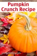 Pumpkin Crunch Recipe