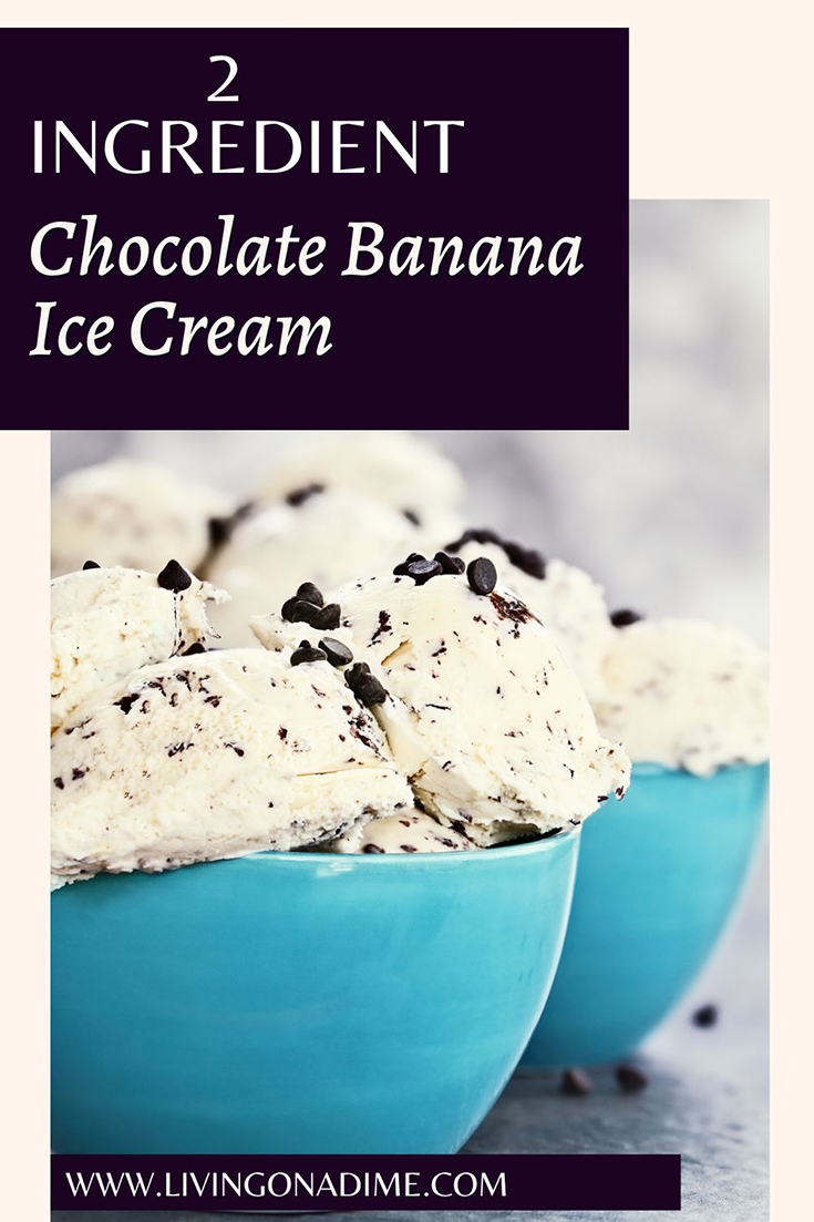 12 Easy 2 Ingredient Ice Cream Recipes You Will Love 