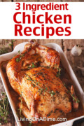 Here are some easy 3 Ingredient Chicken Recipes you can use when you want to prepare a great meal without spending a lot of time in the kitchen!