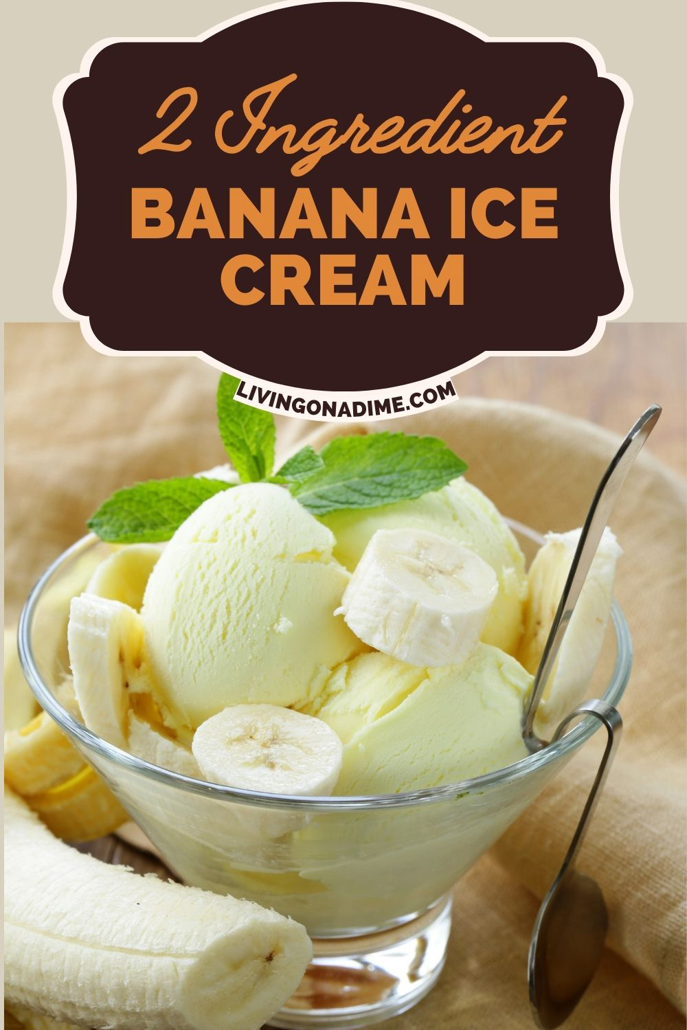 12 Easy 2 Ingredient Ice Cream Recipes You Will Love!