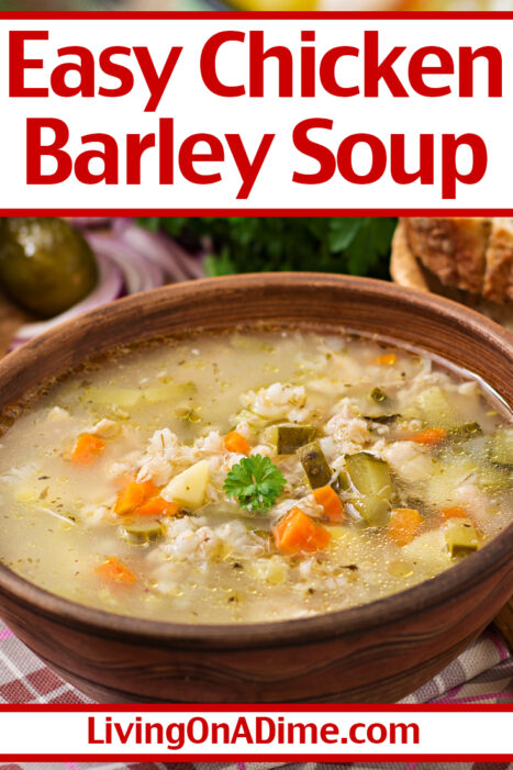 Easy Homemade Soup Recipes and Tips - Living On A Dime