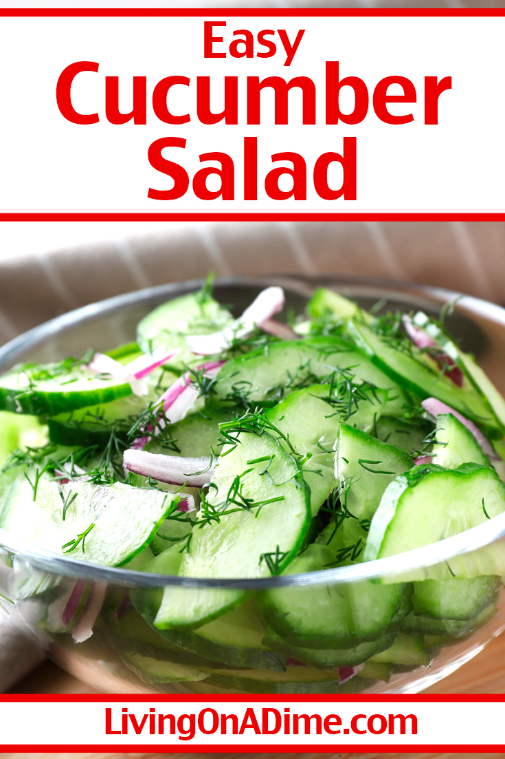 Easy Cucumber Salad Recipe - Cucumber onion salad with vinegar