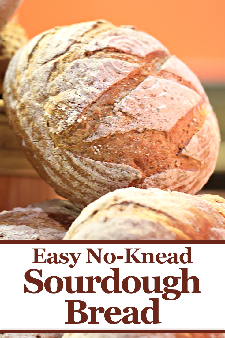 Easy No Knead Sourdough Bread Recipe - Living On A Dime