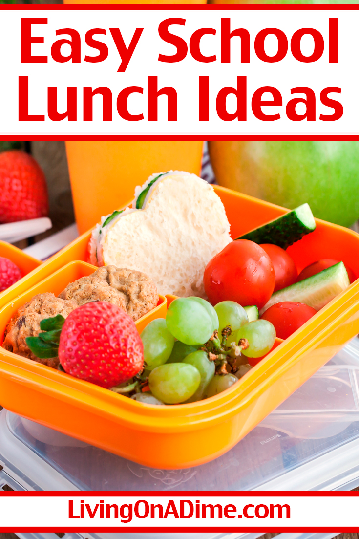 Easy School Lunch Ideas - Healthy Options For Picky Eaters!