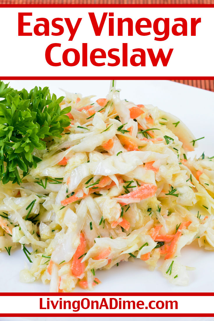 Easy Vinegar Coleslaw Recipe Tangy And Delicious 2575