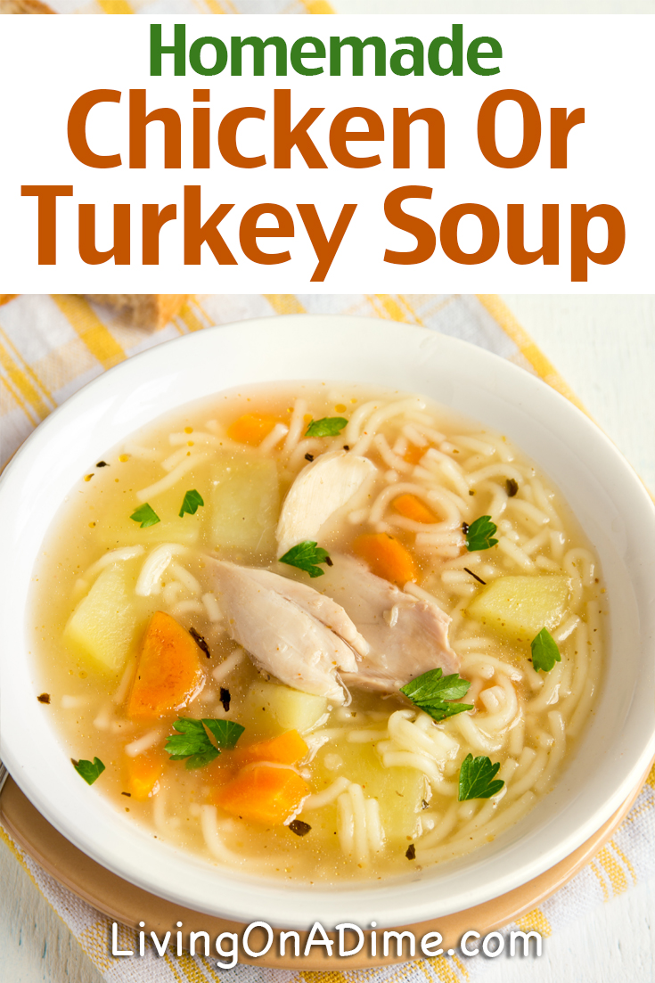 Homemade Chicken And Turkey Soup Recipes - Living On A Dime