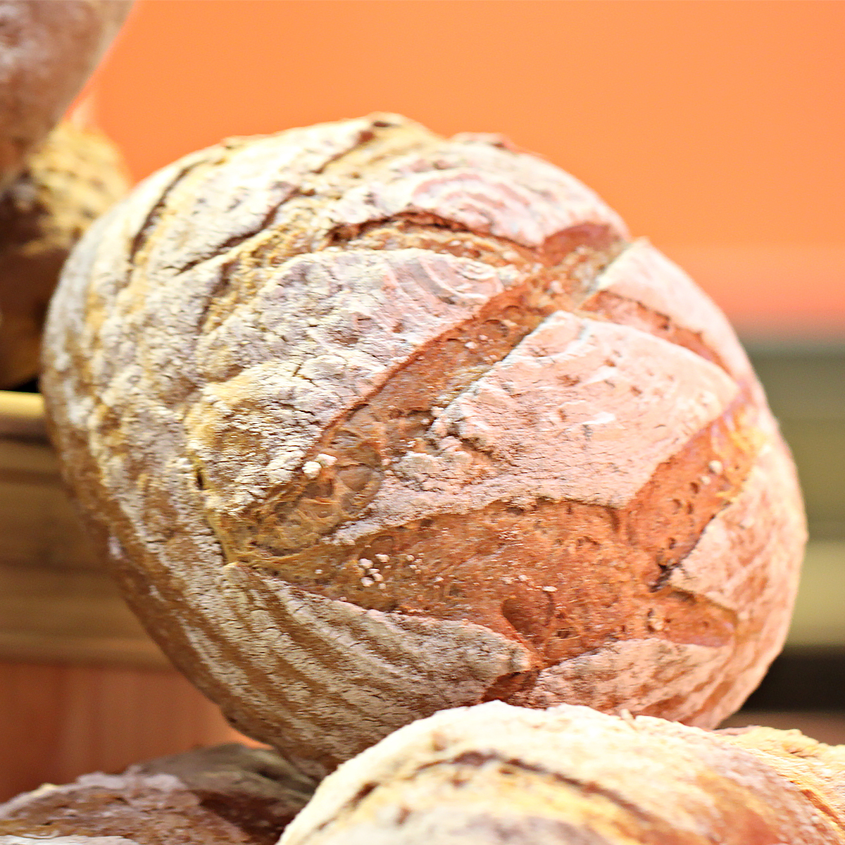 https://www.livingonadime.com/wp-content/uploads/no-knead-sourdough-bread-recipe-tr.jpg