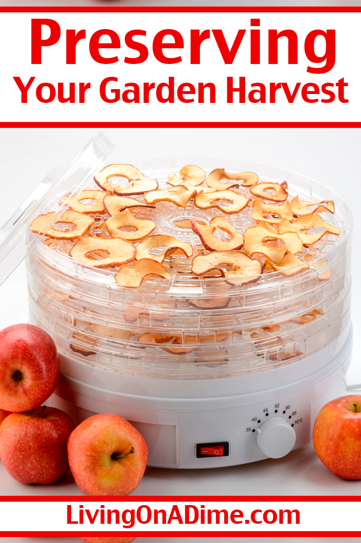 Preserving Your Garden Harvest Tips For Storing And Using Garden Produce Living On A Dime