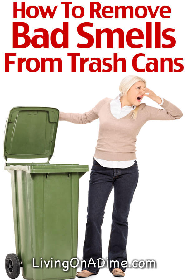 How To Remove Bad Smells From Trash Cans, Books And More Living On A Dime