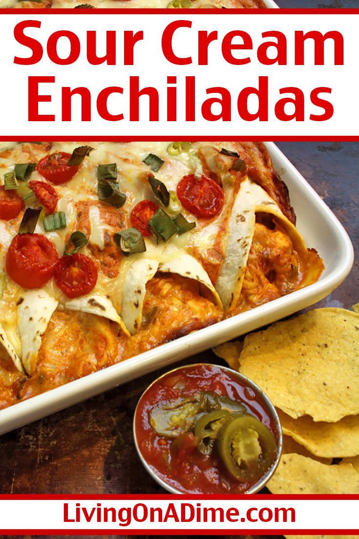 Sour Cream Enchiladas Recipe - Quick, Easy And Delicious!