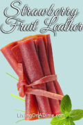 Strawberry Fruit Leather Recipe